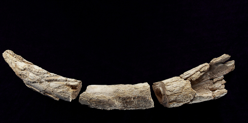 55 Marfil (Valencina, Sevilla)